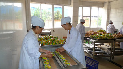 農(nóng)產(chǎn)品加工業(yè)的行業(yè)現(xiàn)狀與發(fā)展前景